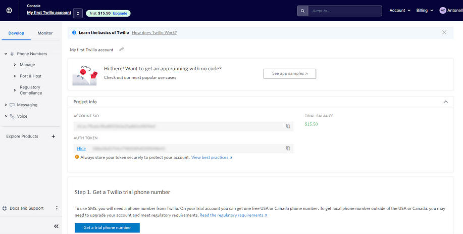 The Twilio console